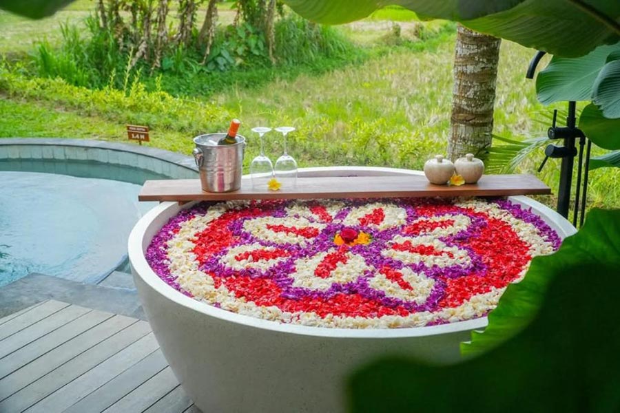 Stay & Relax Package